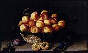 Louise Moillon Basket of Apricots Germany oil painting artist